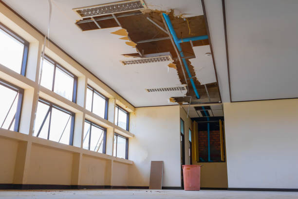 Best Local water damage restoration  in Belington, WV