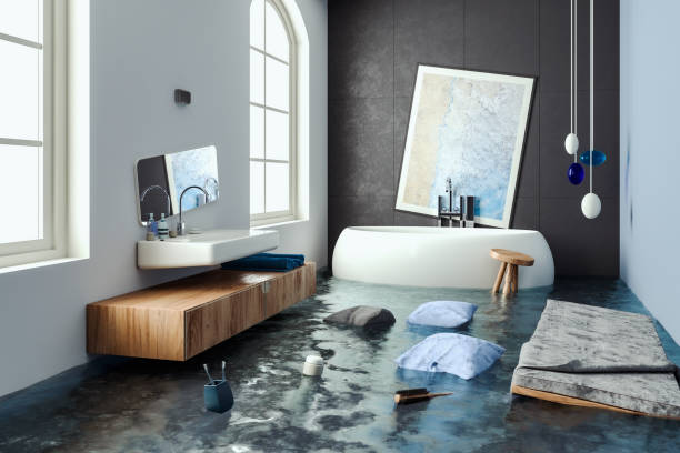 Best Water damage restoration services  in Belington, WV