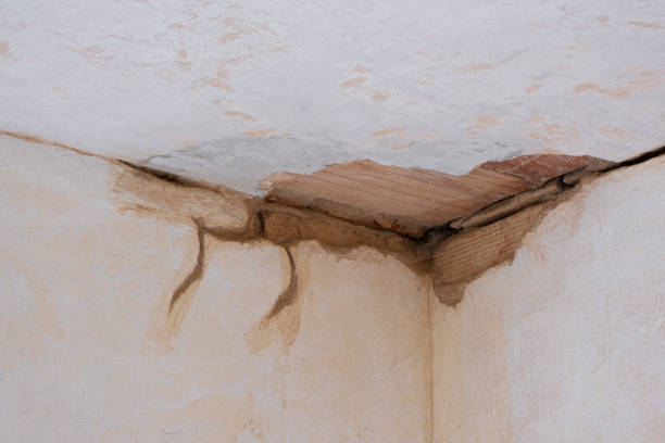 Best Residential water damage restoration  in Belington, WV