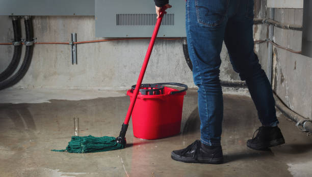 Best Professional water damage repair  in Belington, WV