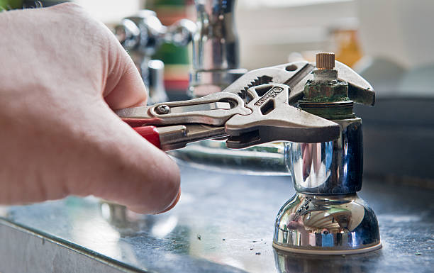 Best Water damage contractors near me  in Belington, WV