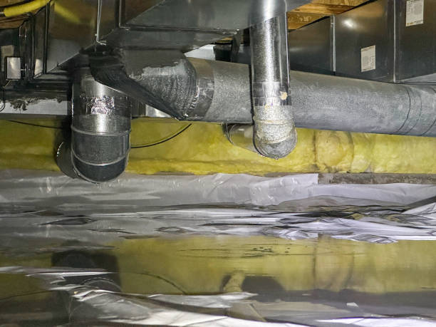 Best Sewage cleanup and water damage restoration  in Belington, WV