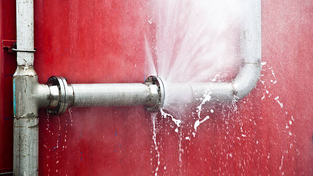 Best Fire Damage Restoration  in Belington, WV